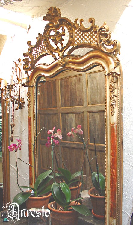 Spiegel in Franse Rococo