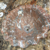 Ref. 44 – Marmeren wasbak in schelpenvorm foto 3